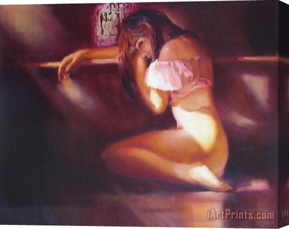 Sergey Ignatenko Golden Cage Stretched Canvas Print / Canvas Art