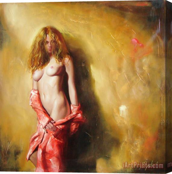 Sergey Ignatenko The sun in red Stretched Canvas Print / Canvas Art