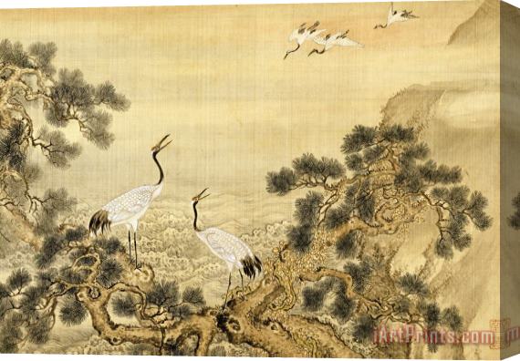 Shen Nanpin Album of Birds And Animals (cranes) Stretched Canvas Print / Canvas Art