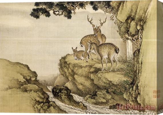 Shen Nanpin Album of Birds And Animals (deer) Stretched Canvas Print / Canvas Art