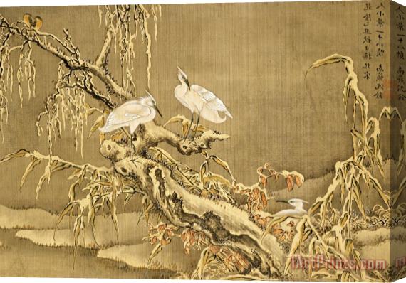 Shen Nanpin Album of Birds And Animals (wintry Storks) Stretched Canvas Print / Canvas Art