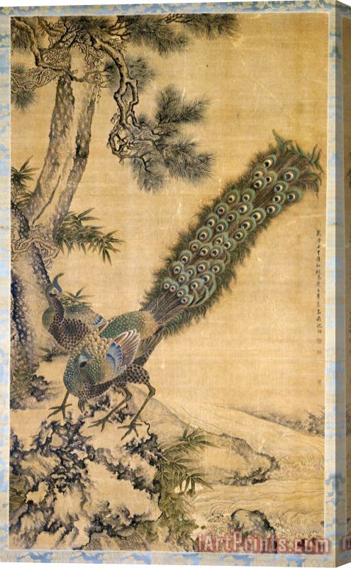 Shen Nanpin Bamboo, Pine And Peacocks Stretched Canvas Print / Canvas Art