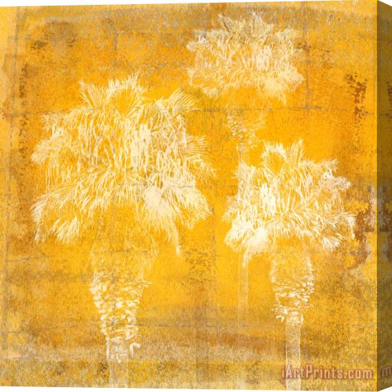 Sia Aryai California II Stretched Canvas Print / Canvas Art