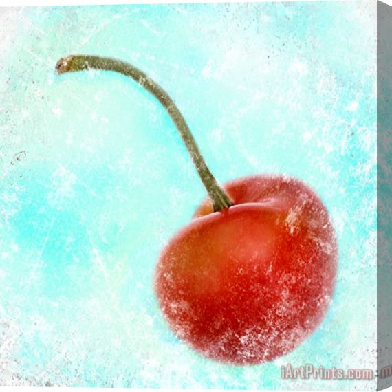 Sia Aryai Cherry Stretched Canvas Painting / Canvas Art