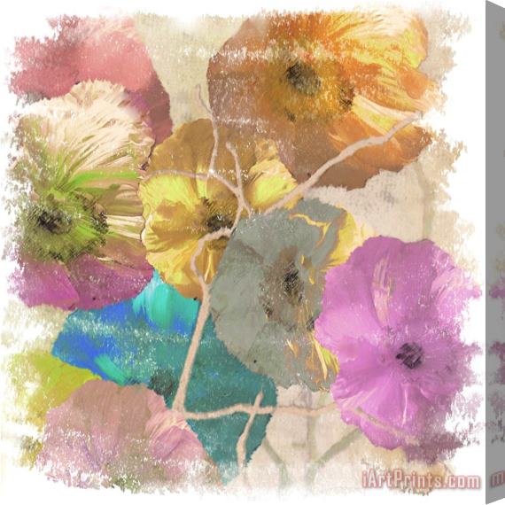 Sia Aryai Poppy Dreams II Stretched Canvas Print / Canvas Art