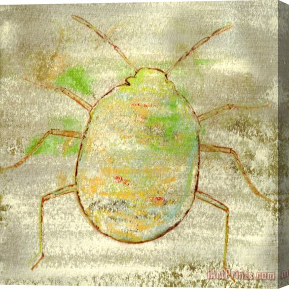 Sia Aryai Sugar Bug II Stretched Canvas Print / Canvas Art