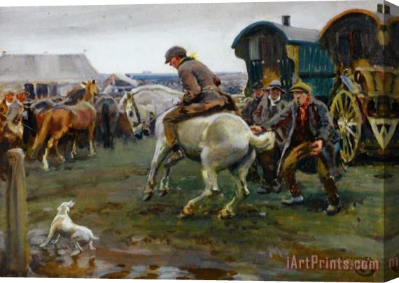 Sir Alfred James Munnings An Ancient Rebel Stretched Canvas Print / Canvas Art