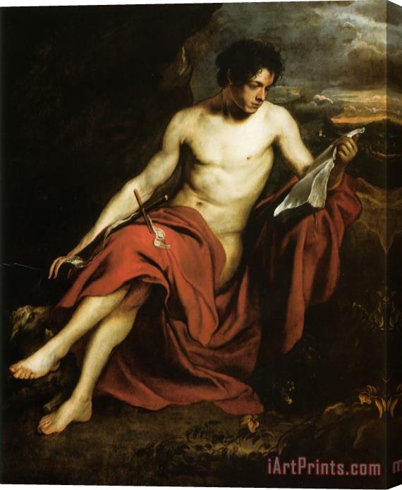 Sir Antony Van Dyck Saint John The Baptist in The Wilderness Stretched Canvas Painting / Canvas Art