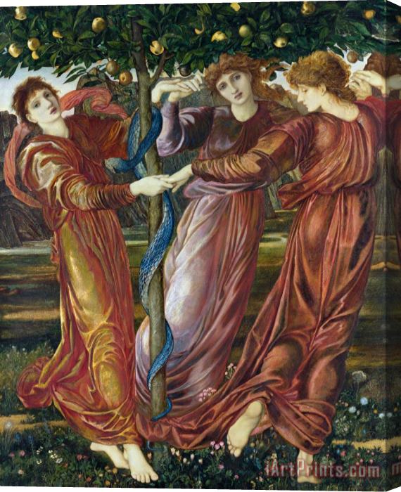 Sir Edward Burne Jones Garden of the Hesperides Stretched Canvas Print / Canvas Art