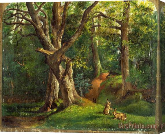 Sir Hubert von Herkomer Woodland Scene with Rabbits Stretched Canvas Print / Canvas Art