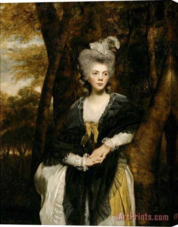 Sir Joshua Reynolds Lady Frances Finch Stretched Canvas Print / Canvas Art