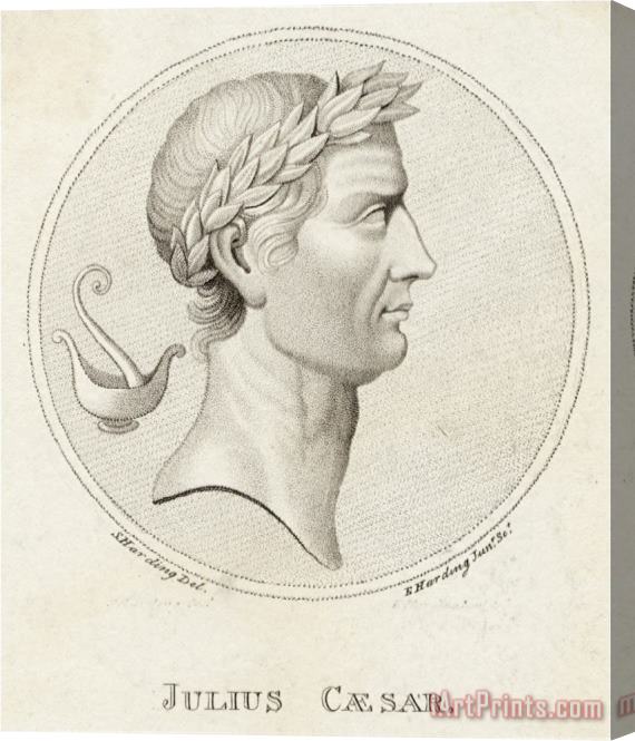Sophie Harding Gaius Julius Caesar Roman Emperor Stretched Canvas Print / Canvas Art