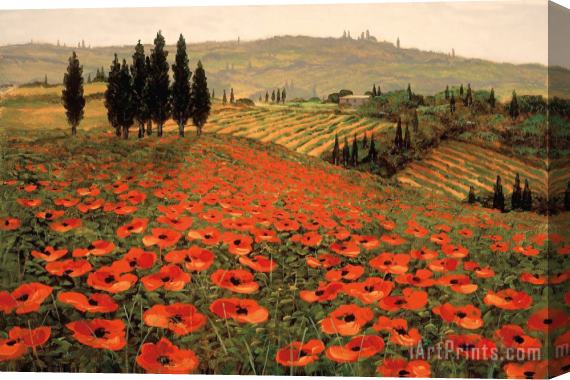 Steve Wynne Hills of Tuscany I Stretched Canvas Print / Canvas Art