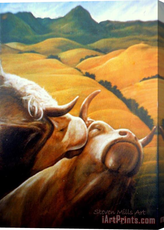 Steven Mills Bovine Bliss Stretched Canvas Painting / Canvas Art