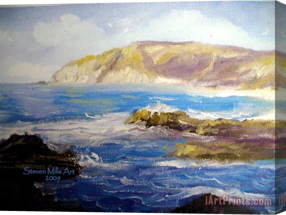 Steven Mills Cal Coast Stretched Canvas Painting / Canvas Art