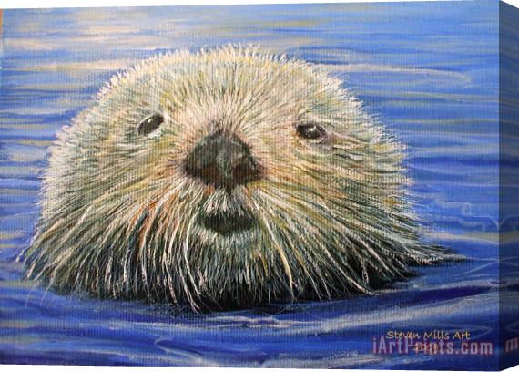 Steven Mills California Otter Stretched Canvas Painting / Canvas Art