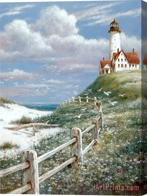 T. C. Chiu Lighthouse with Fence Stretched Canvas Print / Canvas Art