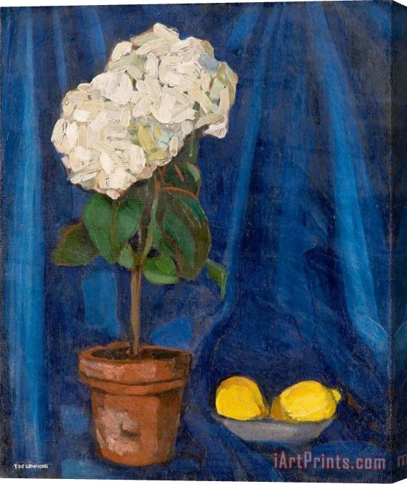 tamara de lempicka Bouquet D Hortensias Et Citron, 1922 Stretched Canvas Print / Canvas Art