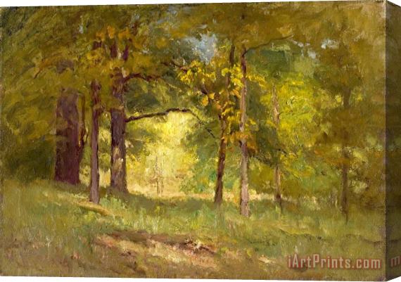 Theodore Clement Steele Autumn Words (forest Interiors) Stretched Canvas Painting / Canvas Art