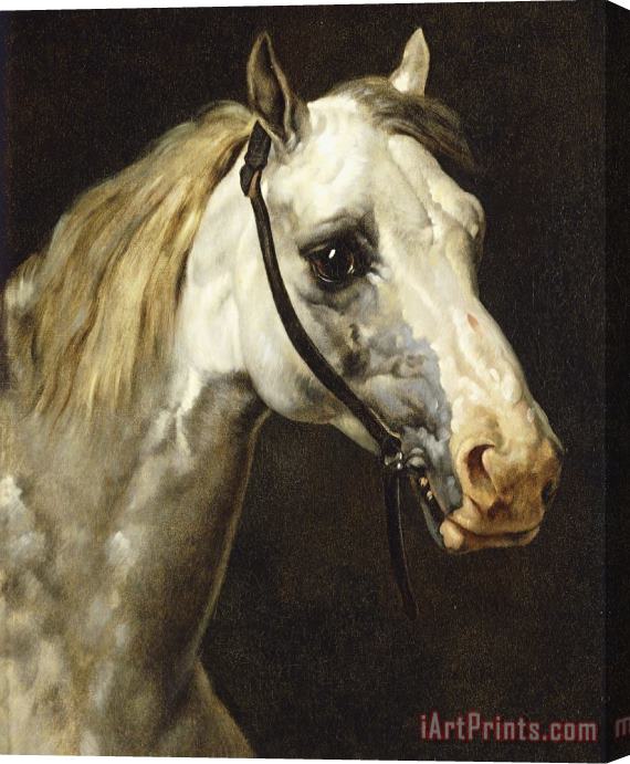 Theodore Gericault Head of a Piebald Horse Stretched Canvas Print / Canvas Art
