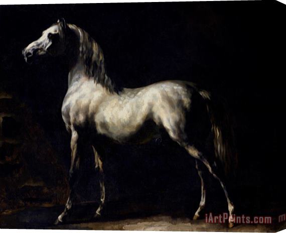 Theodore Gericault Study of a Dapple Grey Stretched Canvas Painting / Canvas Art