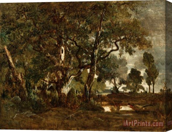 Theodore Rousseau Forest of Fontainebleau, Cluster of Tall Trees Overlooking The Plain of Clair Bois at The Edge of Ba Stretched Canvas Print / Canvas Art