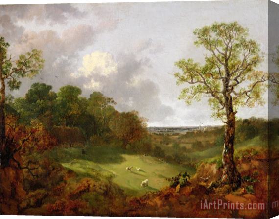 Thomas Gainsborough Wooded Landscape with a Cottage - Sheep and a Reclining Shepherd Stretched Canvas Painting / Canvas Art