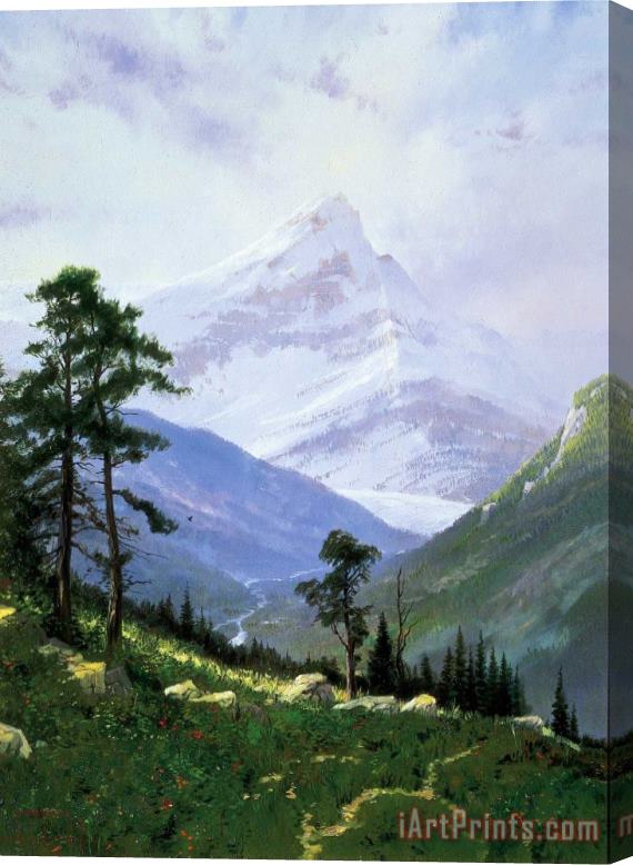 Thomas Kinkade Spring in The Alps Stretched Canvas Print / Canvas Art
