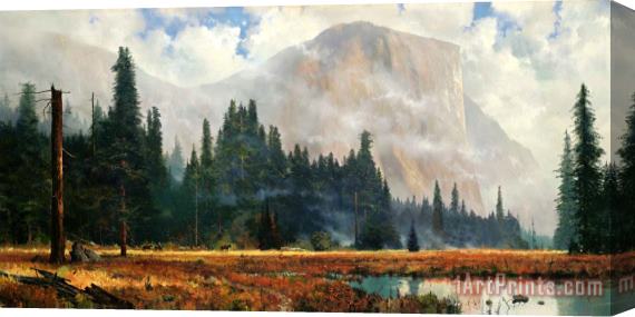Thomas Kinkade Yosemite Meadow Stretched Canvas Print / Canvas Art