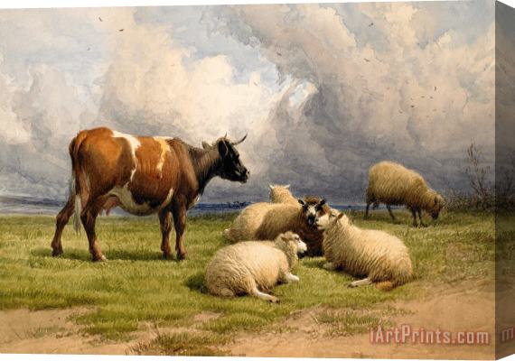 Thomas Sidney Cooper A Cow And Five Sheep Stretched Canvas Print / Canvas Art