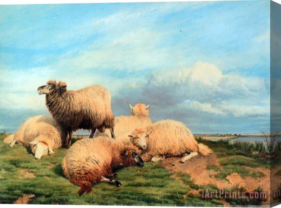 Thomas Sidney Cooper Landscape with Sheep Stretched Canvas Print / Canvas Art