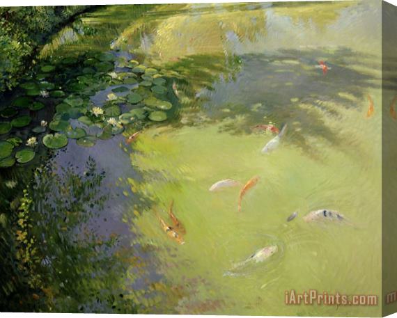 Timothy Easton Featherplay Stretched Canvas Painting / Canvas Art