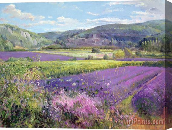 Timothy Easton Lavender Fields in Old Provence Stretched Canvas Print / Canvas Art