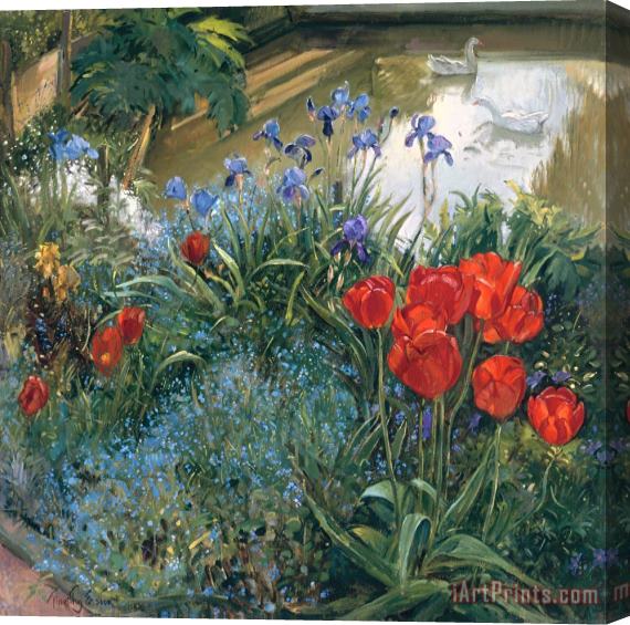 Timothy Easton Red Tulips And Geese Stretched Canvas Print / Canvas Art