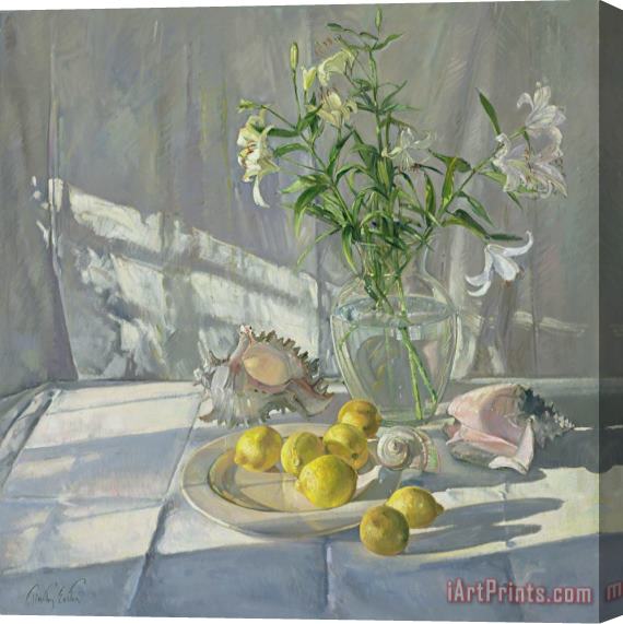 Timothy Easton Reflections And Shadows Stretched Canvas Painting / Canvas Art
