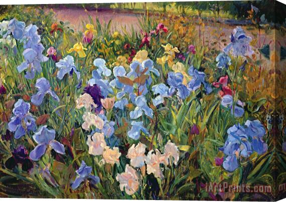 Timothy Easton The Iris Bed Stretched Canvas Painting / Canvas Art