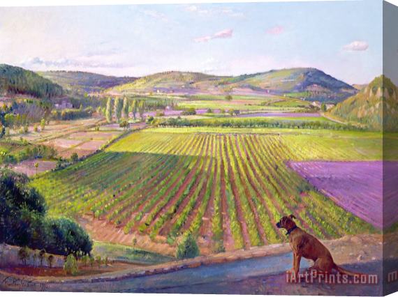 Timothy Easton Watching From The Walls Old Provence Stretched Canvas Painting / Canvas Art