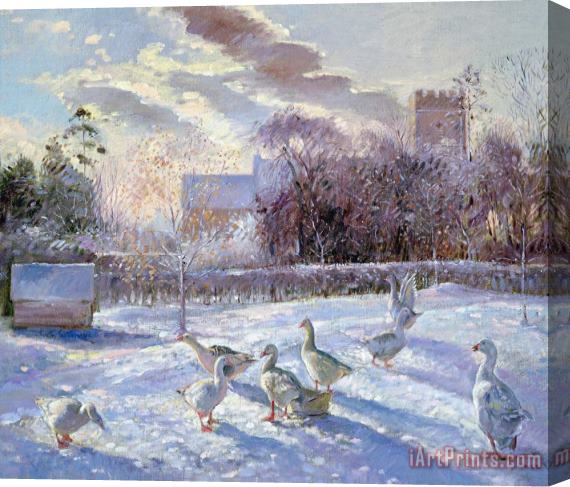 Timothy Easton Winter Geese in Church Meadow Stretched Canvas Painting / Canvas Art