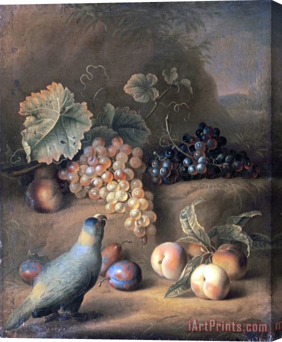 Tobias Stranovius A Parrot with Grapes, Peaches And Plums in a Landscape Stretched Canvas Painting / Canvas Art