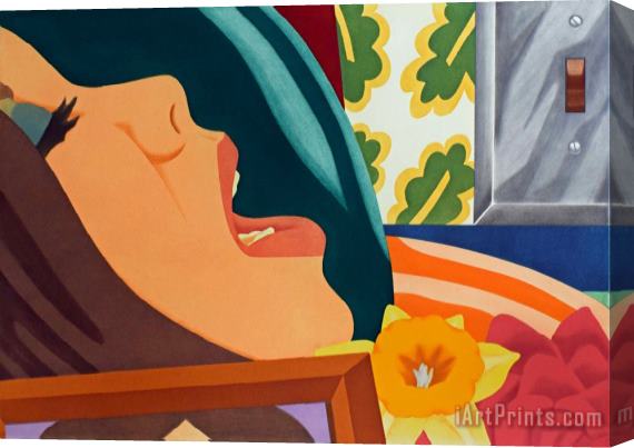 Tom Wesselmann Bedroom Face, 1977 Stretched Canvas Painting / Canvas Art