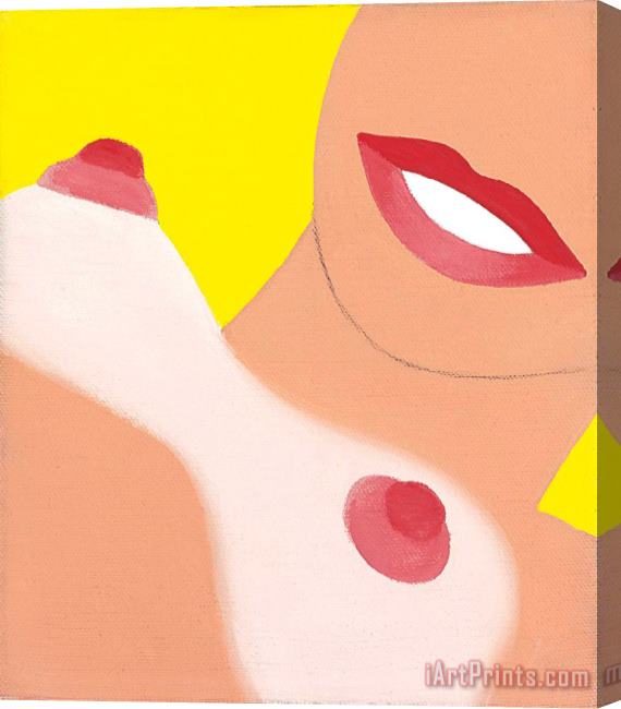 Tom Wesselmann Little Great American Nude #29, 1965 Stretched Canvas Print / Canvas Art