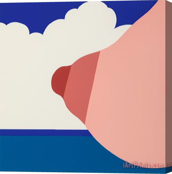 Tom Wesselmann Seascape (tit), 1967 Stretched Canvas Painting / Canvas Art