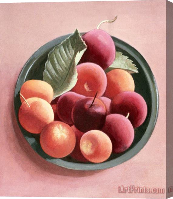 Tomar Levine Bowl Of Fruit Stretched Canvas Print / Canvas Art