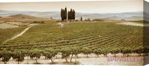 Trevor Neal Tree Circle - Tuscany Stretched Canvas Print / Canvas Art