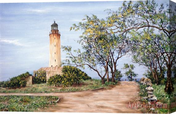 Victor Collector Lighthouse Stretched Canvas Painting / Canvas Art