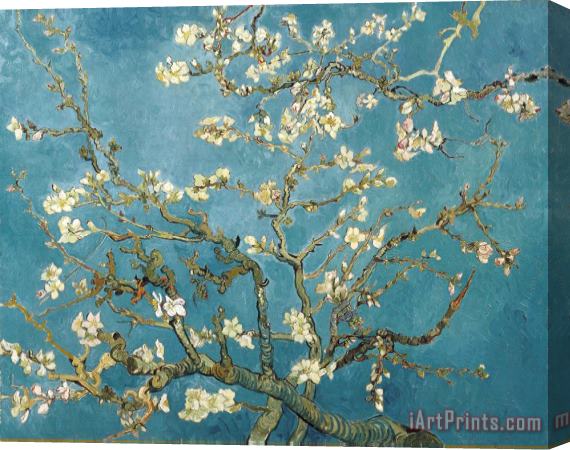 Vincent van Gogh Almond Blossoms Stretched Canvas Print / Canvas Art