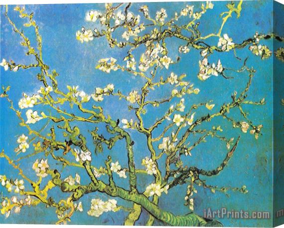Vincent van Gogh Blossoming Almond-branches Stretched Canvas Print / Canvas Art