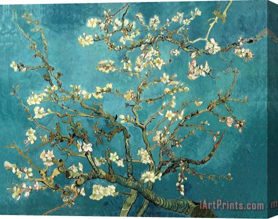 Vincent van Gogh Blossoming Almond Tree Stretched Canvas Print / Canvas Art