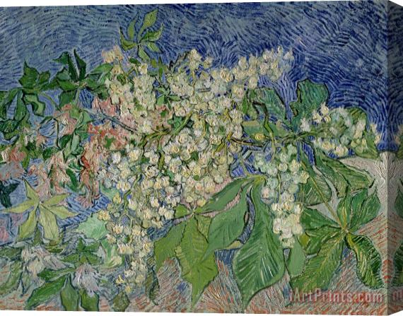 Vincent Van Gogh Blossoming Chestnut Branches Stretched Canvas Painting / Canvas Art