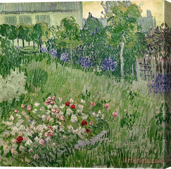 Vincent Van Gogh Daubigny's Garden Stretched Canvas Print / Canvas Art